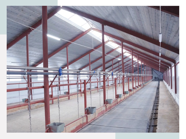 Строительство коровников в Ростове от 616 руб.