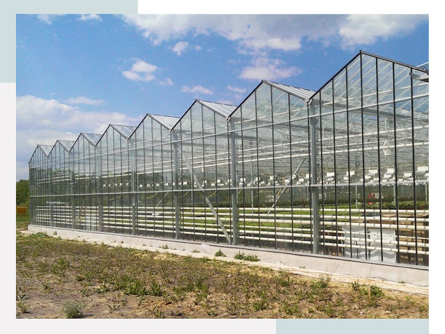 Строительство теплиц в Ростов от 616 руб. за м²